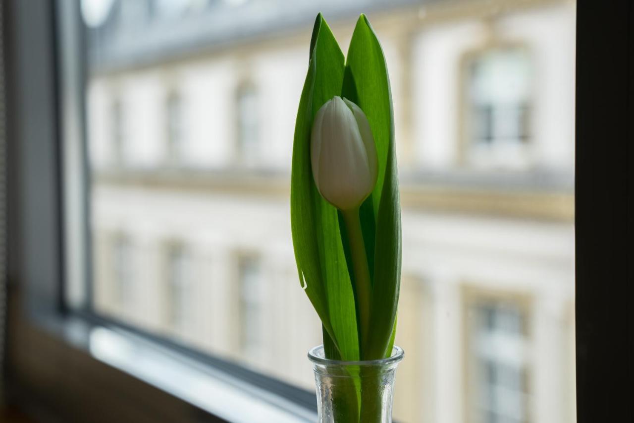 Sankt Andreas Hotel Дюселдорф Екстериор снимка